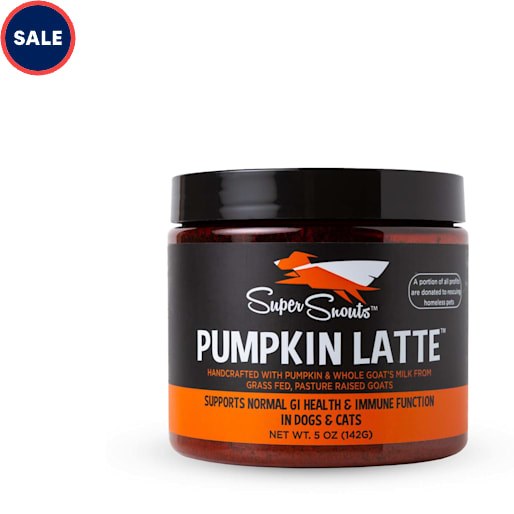 Diggin Your Dog Super Snouts Pumpkin Latte