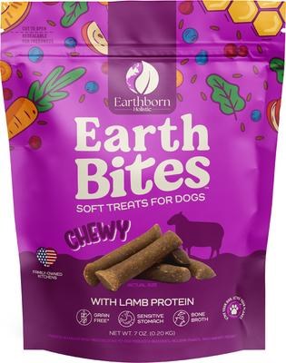 Earthborn Holistic Earthbites Chewy with Lamb Dog Treats