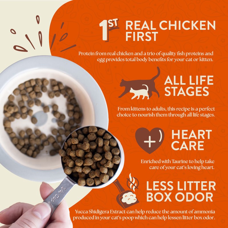 Earthborn Holistic Primitive Feline Grain Free Dry Cat Food