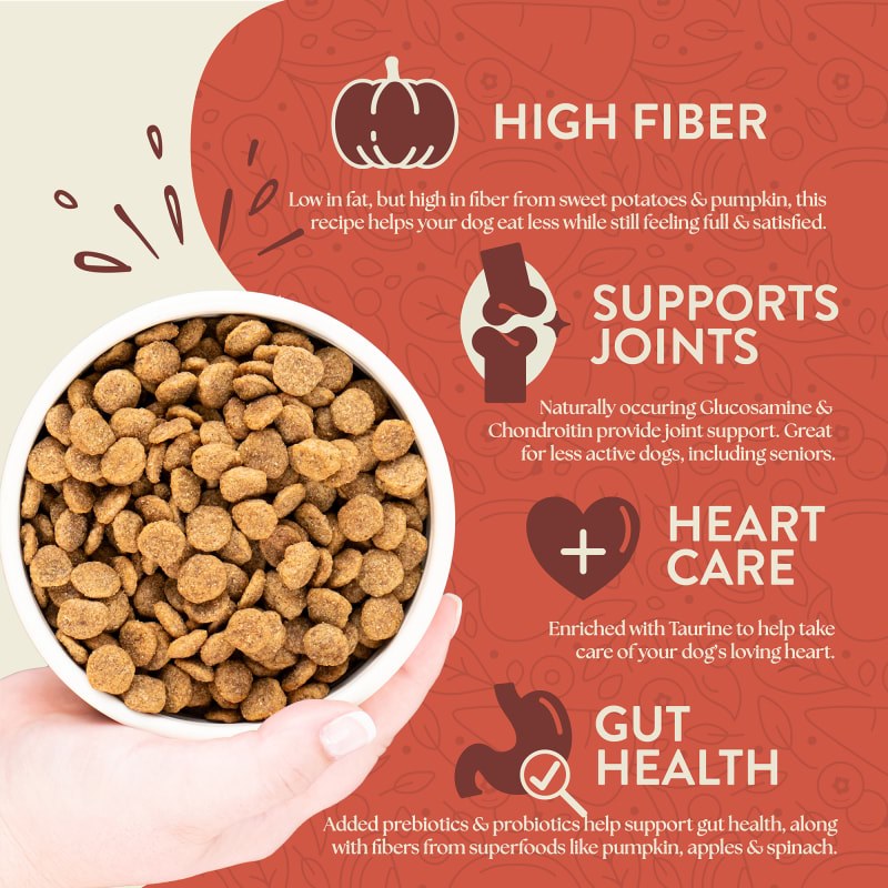 Earthborn Holistic Weight Control Dog Food