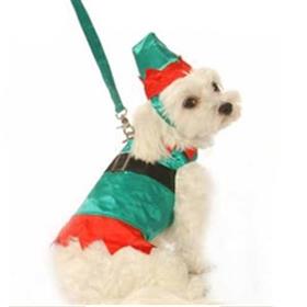 Elf Boy Harness Suit