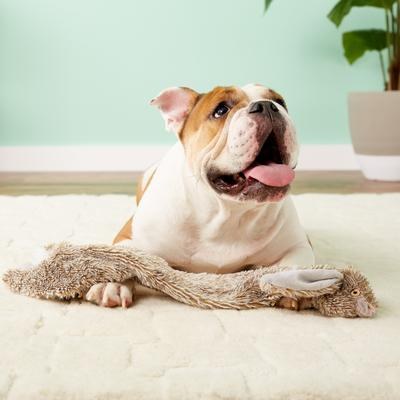 Ethical Pet Skinneeez Forest Series Rabbit Stuffingless Dog Toy