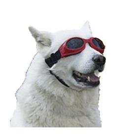 Ethical Products Dog Shades