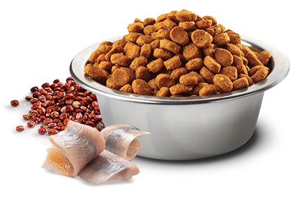 Farmina Grain Free LID Quinoa Skin and Coat Herring Dry Cat Food