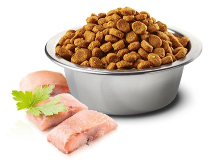 Farmina ND Ocean Herring Orange Recipe Dry Dog Food