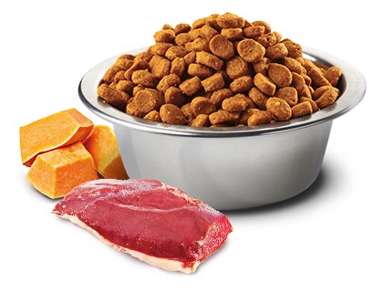 Farmina ND Pumpkin Grain Free Duck Cantaloupe Dry Dog Food