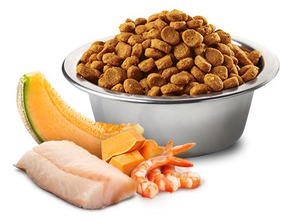 Farmina Ocean Cod Shrimp Pumpkin and Cantaloupe Melon Dry Cat Food