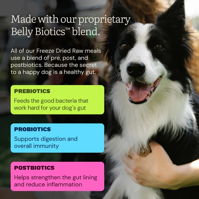 Get Joy Fresh Freeze Dried Chicken Dog Food