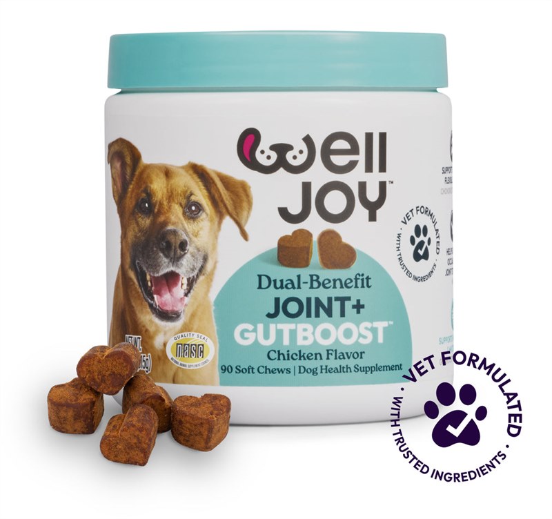 Get Joy Joint Supplement Supporting Joint Mobility Health Dog Chew