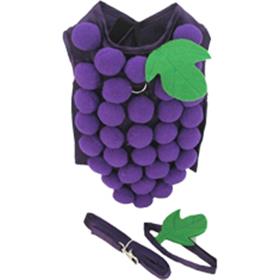 Grape Cluster Costume