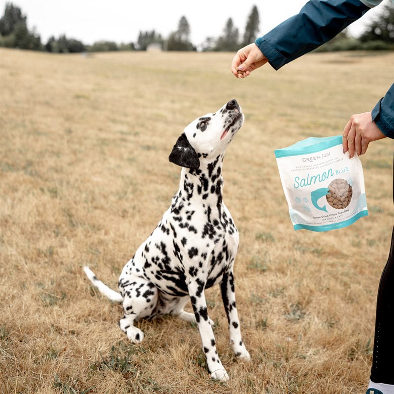 Green Juju Salmon Blue Freeze Dried Whole Food Bites