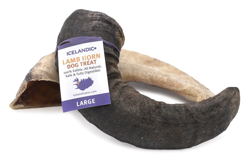 Icelandic Lamb Horn Dog Treat