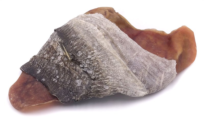 Icelandic Plus Fish Ear Cod Skin Wrapped Pig Ear Dog Treat