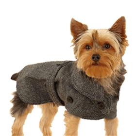 Juicy Couture Herringbone Dog Trench Coat