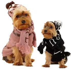 Juicy Couture Intarsia Sweater Hat Scarf Gift Set