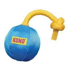 Kong Funster Ball Dog Toy