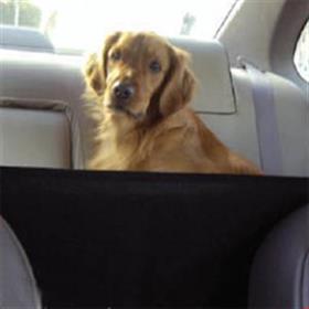 Kyjen Front Seat Barrier