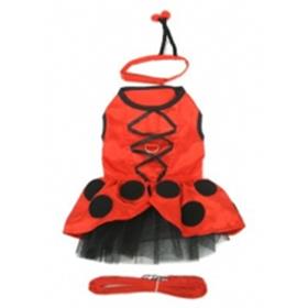 Lady Bug Fairy Costume