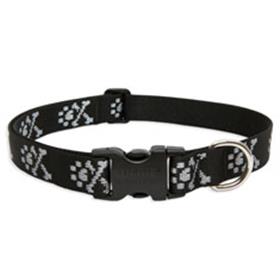 Lupine Pet Bling Bonz Collar