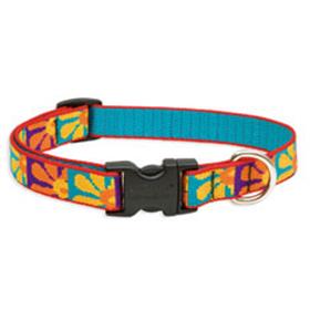 Lupine Pet Crazy Daisy Collar