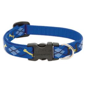 Lupine Pet Dapper Dog Collar