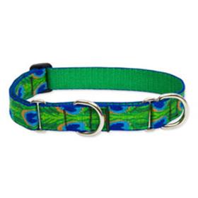 Lupine Pet Tail Feathers Combo Collar