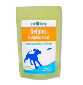 Pet Kelp Kelpies Pumpkin Point