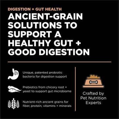 Petcurean GO Digestion and Gut Health Salmon Recipe with Ancient Grains Dry Dog Food