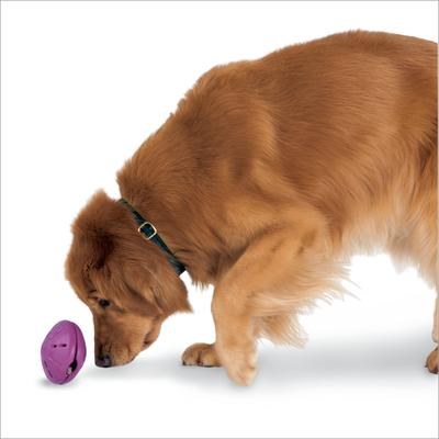 PetSafe Busy Buddy Twist n Treat Dog Toy