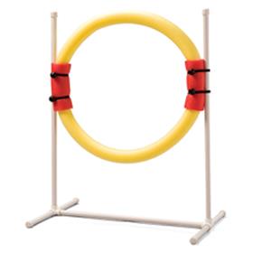 PetSafe Ring Jump