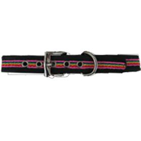 Rainbow Navy Blue Collar