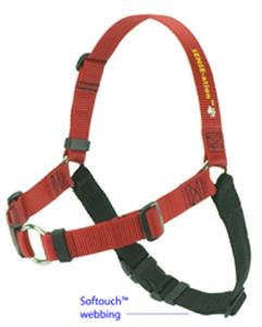 SENSEation Dog Harness