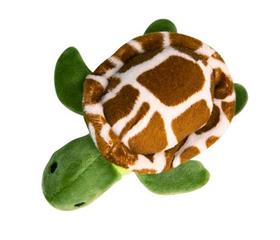 Snugarooz Baby Shelldon Dog Toy