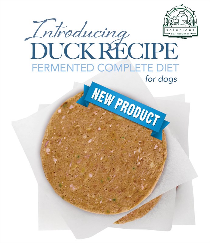Solutions Dog Frozen Duck Patties