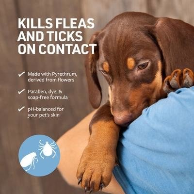 Synergy Labs Veterinary Formula Clinical Care Flea and Tick Shampoo