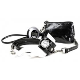 The Shabby Dog Pupercise Kit