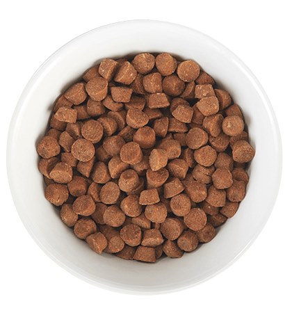 Tiki Cat Born Carnivore for Kittens Chicken and Egg Luau