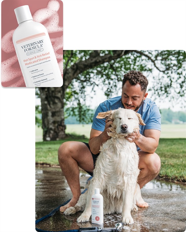 Veterinary Formula Hot Spot and Itch Shampoo