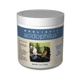 Wholistic Acidophilus