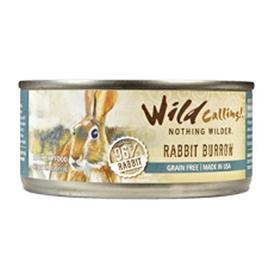Wild Calling Rabbit Burrow Cat Can